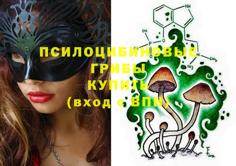 Псилоцибиновые грибы Psilocybine cubensis Кандалакша